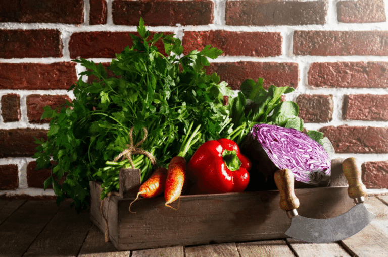 The Benefits of Growing Your Own Food Indoors